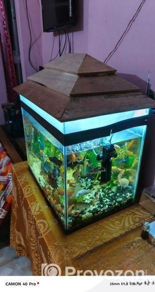 Aquarium