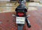 Honda Dream 110 2019