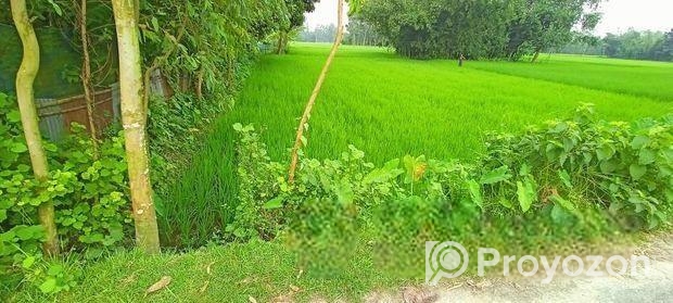 বাড়িকরার উপযুক্ত জায়গা বিক্রি হবে।