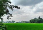 ৫ শতক জমি বিক্রয় করা হবে রাস্তা সহ