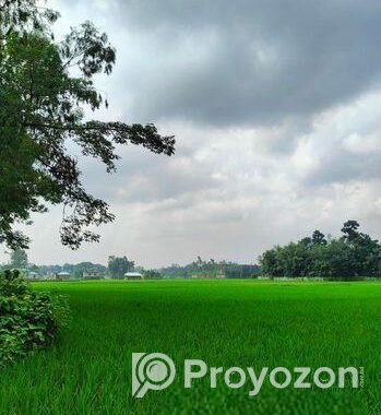৫ শতক জমি বিক্রয় করা হবে রাস্তা সহ