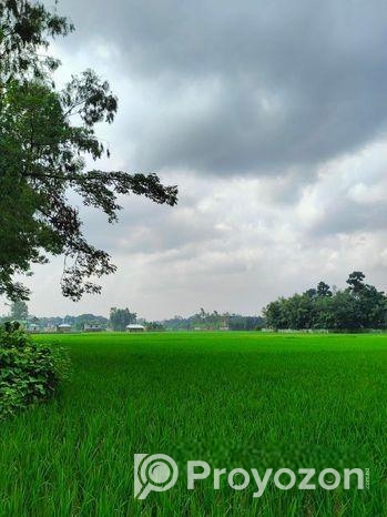 ৫ শতক জমি বিক্রয় করা হবে রাস্তা সহ