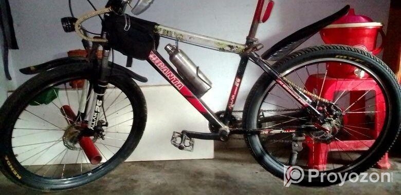 Duranta Bicycle For Sale