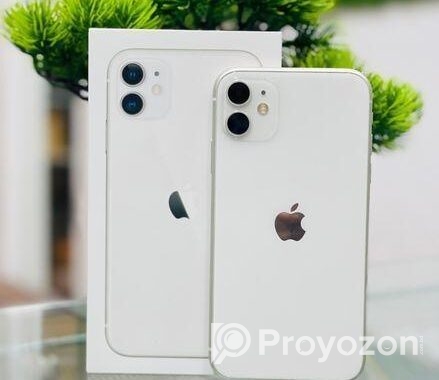 Apple iPhone 11 (Used)