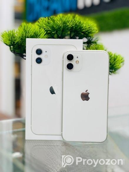 Apple iPhone 11 (Used)