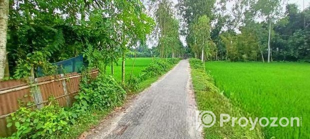 বাড়িকরার উপযুক্ত জায়গা বিক্রি হবে।