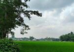 ৫ শতক জমি বিক্রয় করা হবে রাস্তা সহ
