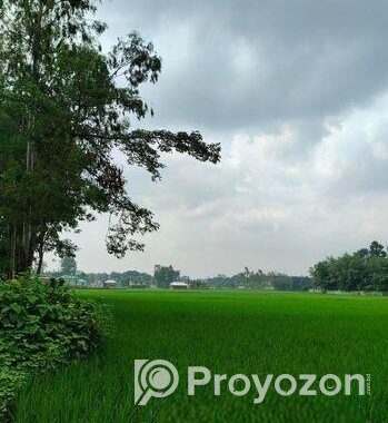 ৫ শতক জমি বিক্রয় করা হবে রাস্তা সহ
