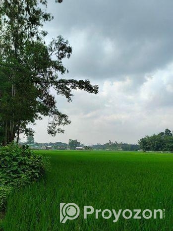 ৫ শতক জমি বিক্রয় করা হবে রাস্তা সহ