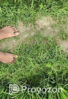 ৬৭ কাঠা/ ৩ বিঘা ৭ কাঠা ফসলি জমি