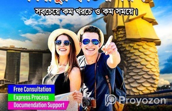 সিঙ্গাপুর ই-ভিসা করুন সবচেয়ে কম খরচে ও দ্রুত সময়ে