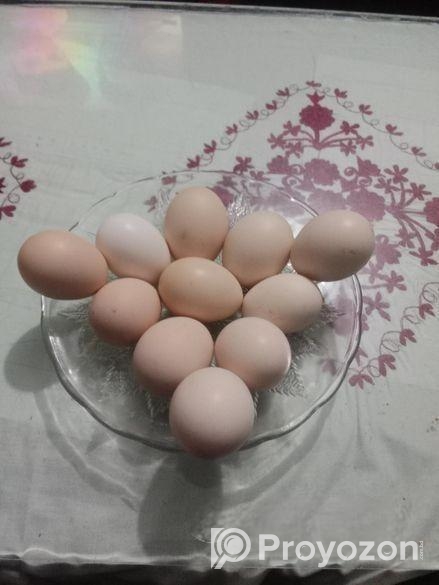 দেশি মুরগির ডিম