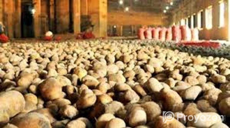 ফ্রেশ আলু, উচ্চ মানের ভাল আলু