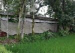 খামারের টিনের ঘর