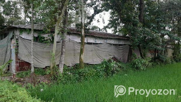 খামারের টিনের ঘর