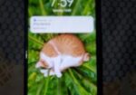 Xiaomi Redmi Note 7 . (Used)