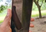 Xiaomi Redmi Note 13 . (Used)