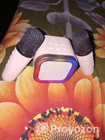 Karaoke K12 Speaker