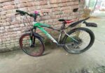 Phoenix Bicycle for sale