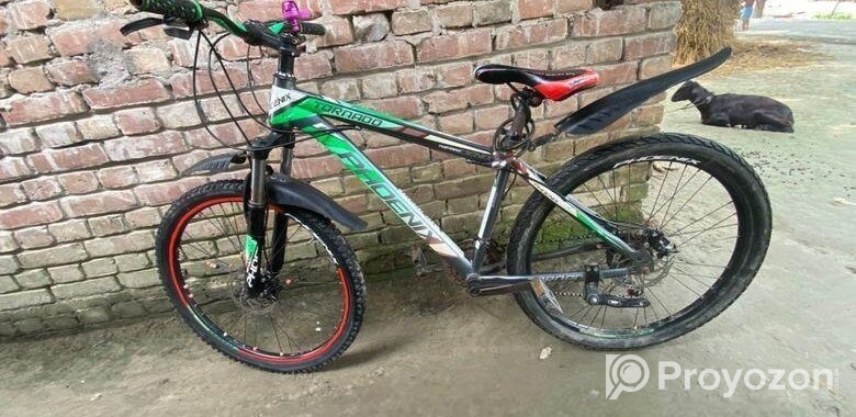 Phoenix Bicycle for sale