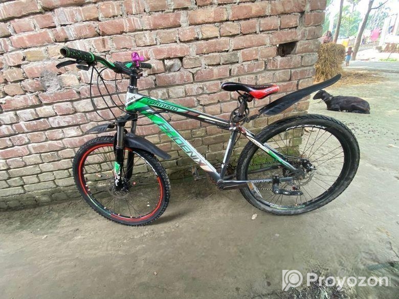 Phoenix Bicycle for sale