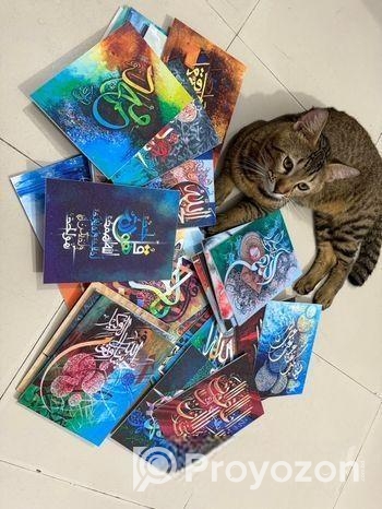 Premium Wallboard 18 pis set