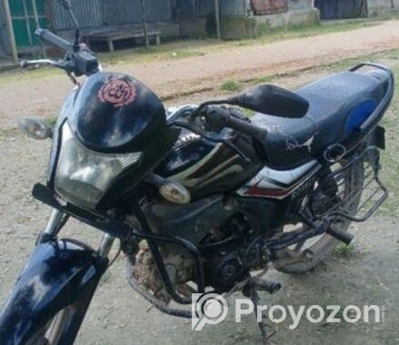 Runner Royal Plus . 2022