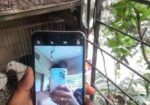 Tecno Spark Go 4+4=64 (Used)