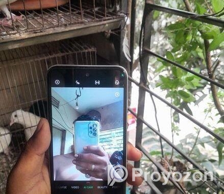 Tecno Spark Go 4+4=64 (Used)