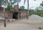 House for sell