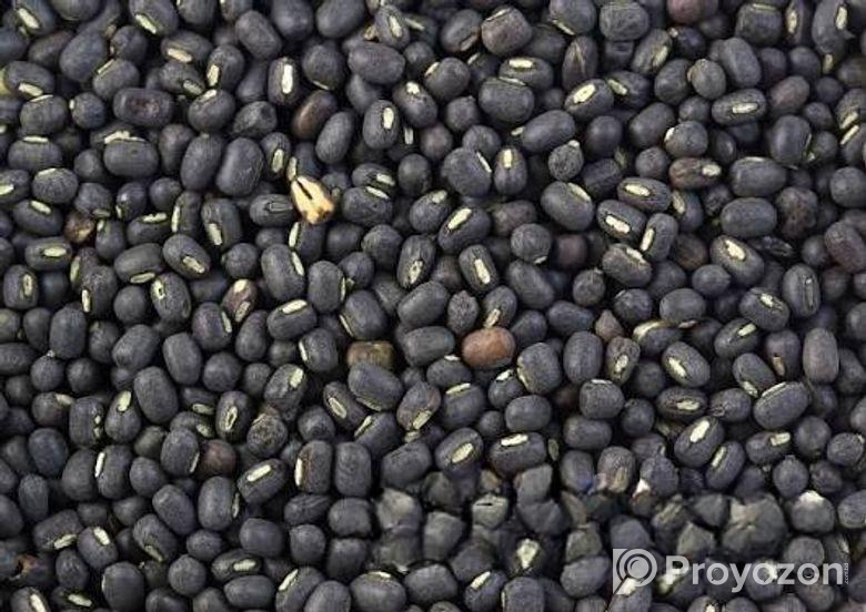 মাশ কালাই