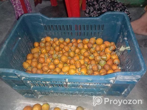 ১ কুড়ি দেশি গাছ পাকা সুপারি