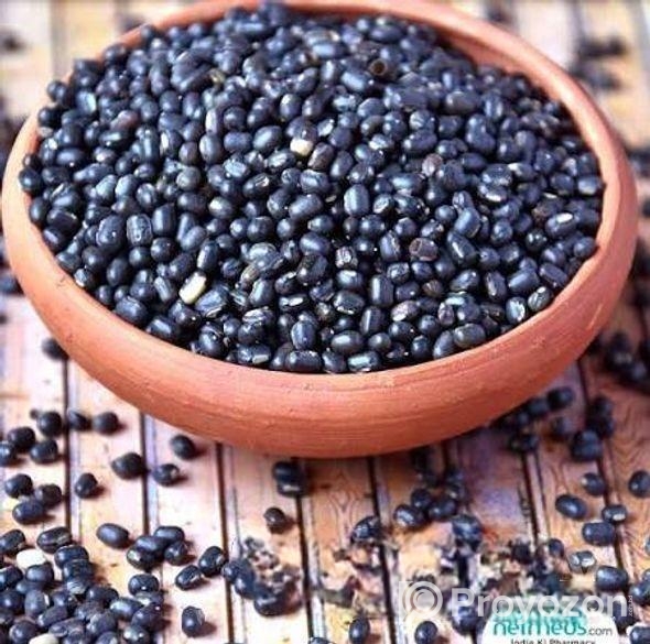 মাশ কালাই