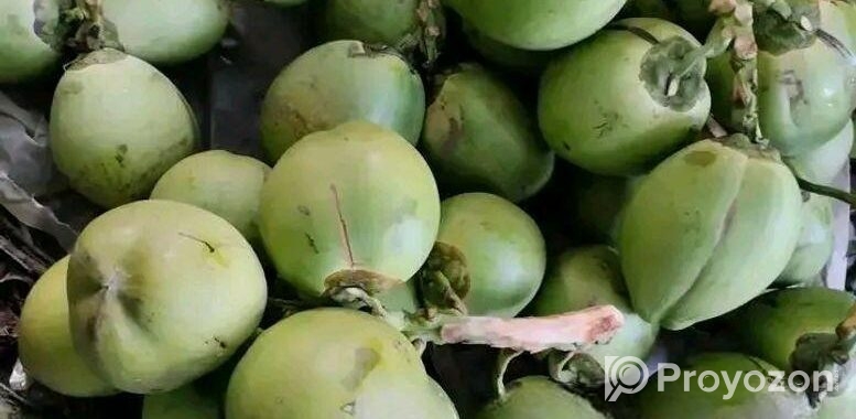 ডাব বিক্রয়