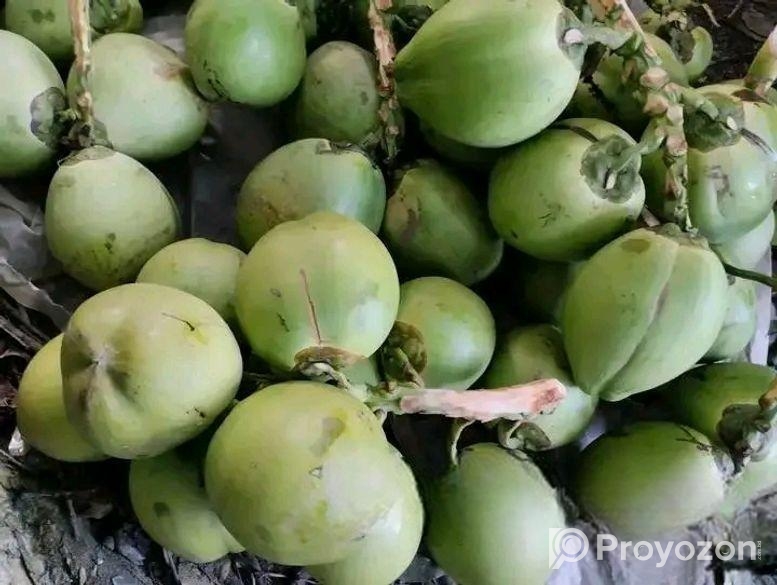 ডাব বিক্রয়