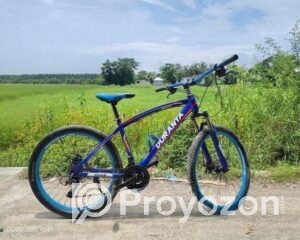 fitted-63_2025-09-23_12-26-42