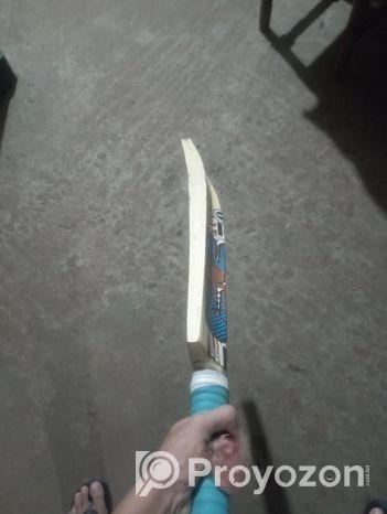 Cricket Bat