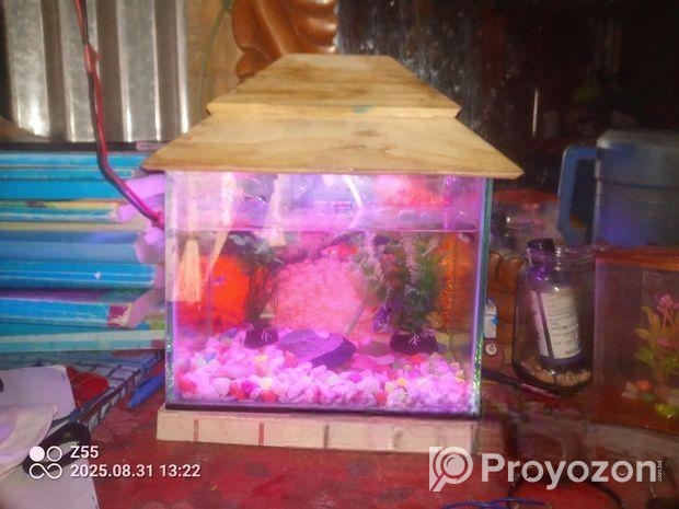 একুরিয়াম বিক্রি হবে ( ইমার্জেন্সি)