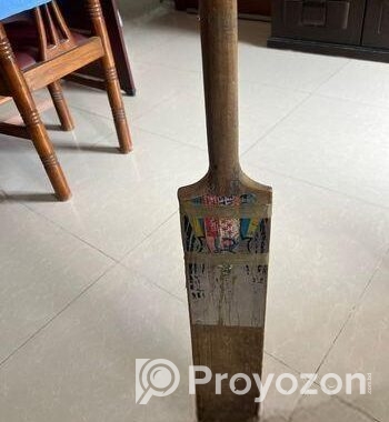 Cricket Bat