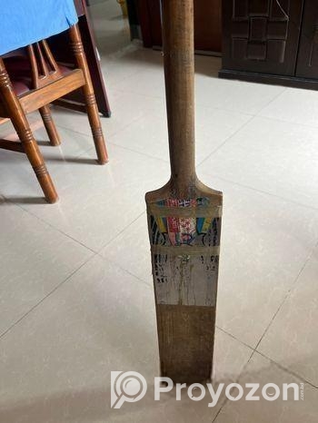 Cricket Bat