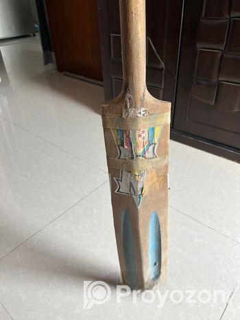 Cricket Bat
