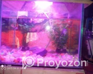 fitted-66_2025-09-21_11-04-22