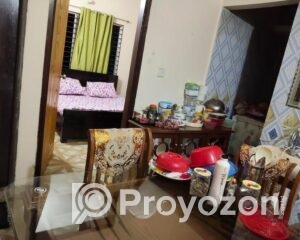 fitted-67_2025-09-11_11-00-50