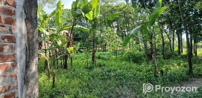 Land for sale