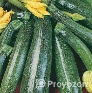 স্কোয়াস বীজ