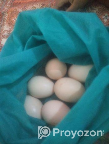 ডিম বিক্রি করবো