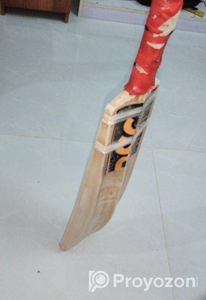 Dsc এর এক মাস পুরাতন ক্রিকেট ব্যাট