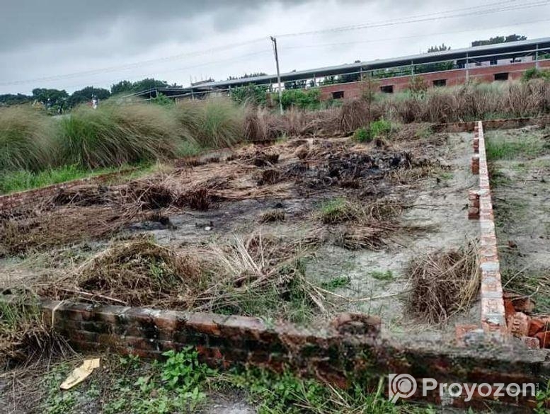 মধুসিটির প্রজেক্ট সময়ের সেরা লোকেশনে।।।