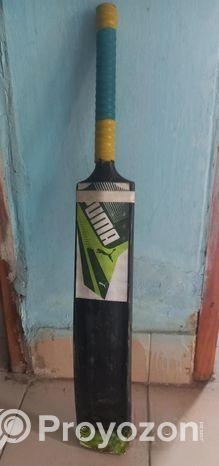 Use Cricket Bat