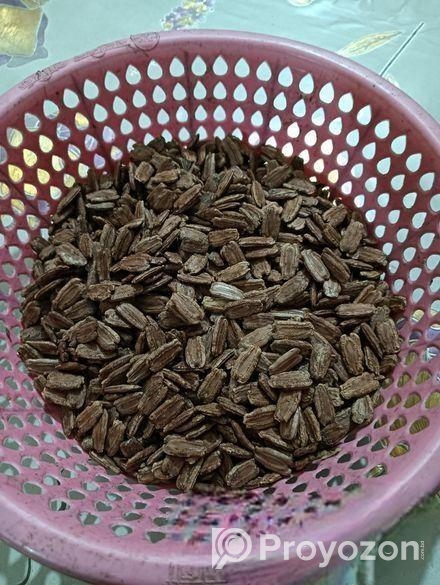 বড়ো কদুর বিজ